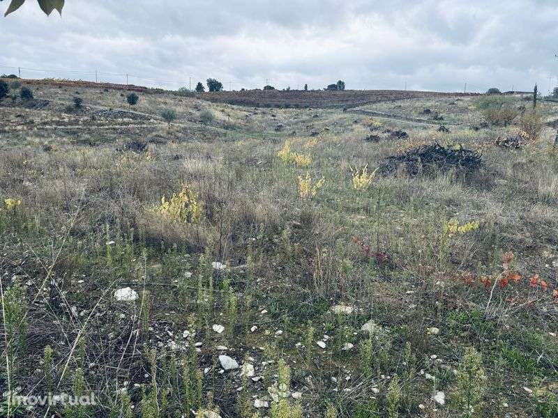 Terreno rústico urbanizável - Grande imagem: 5/9