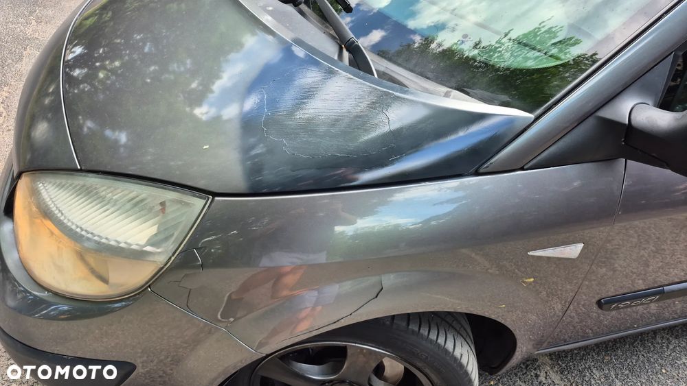 Renault Scenic 1.9 dCi Luxe Privilege - 9