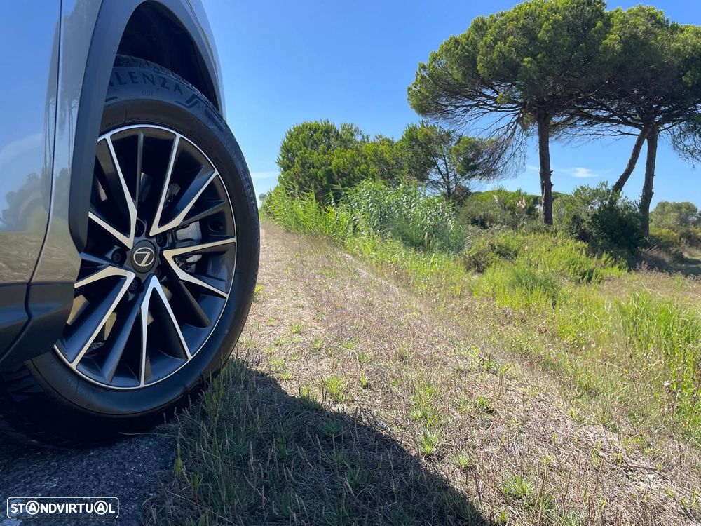 Lexus NX 450h+ Executive Plus - 18