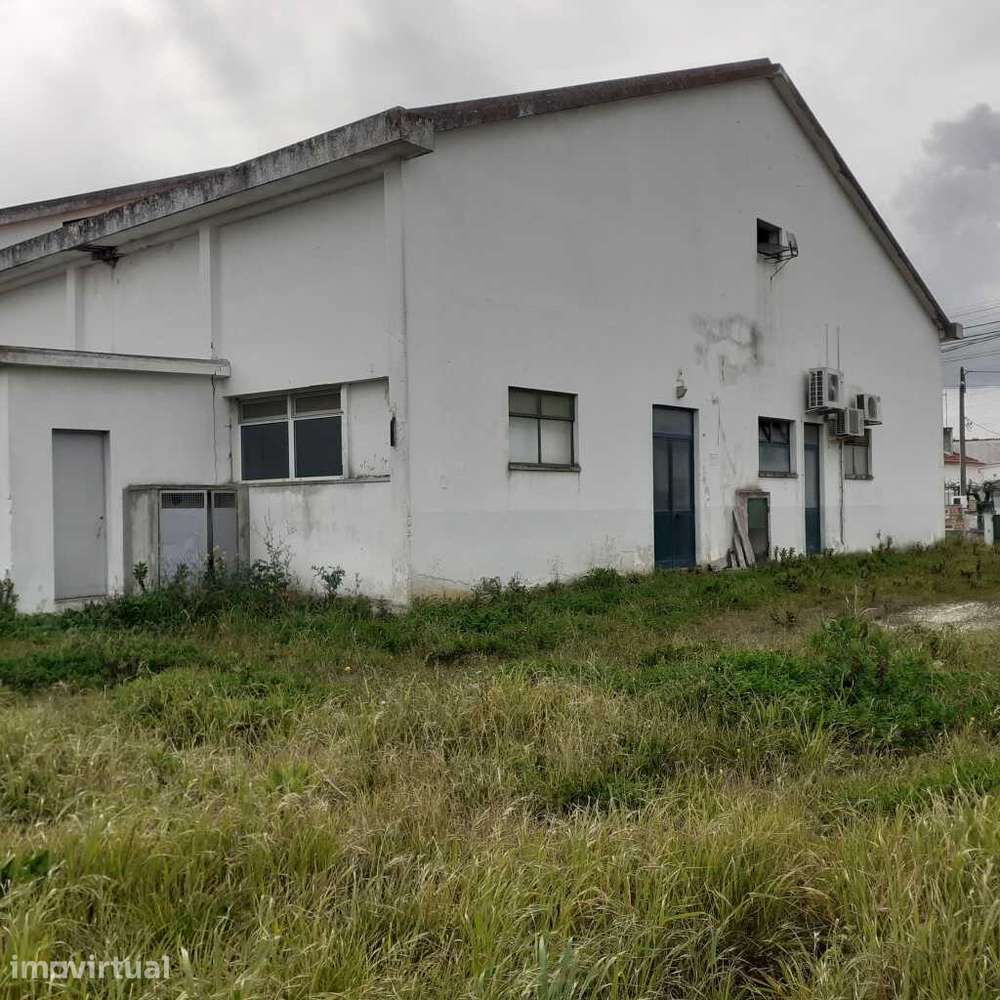 Armazém Industrial - Santarém/Alcanhões - Grande imagem: 4/19