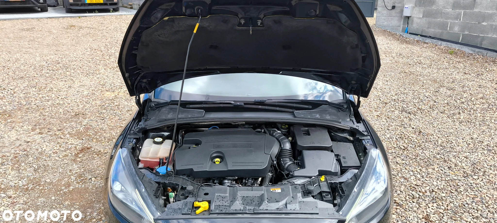 Ford Focus - 34