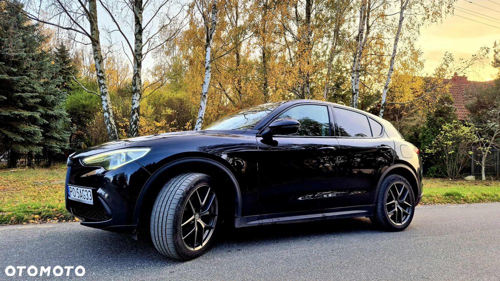 Alfa Romeo Stelvio 2.0 Turbo First Edition Q4 - 3