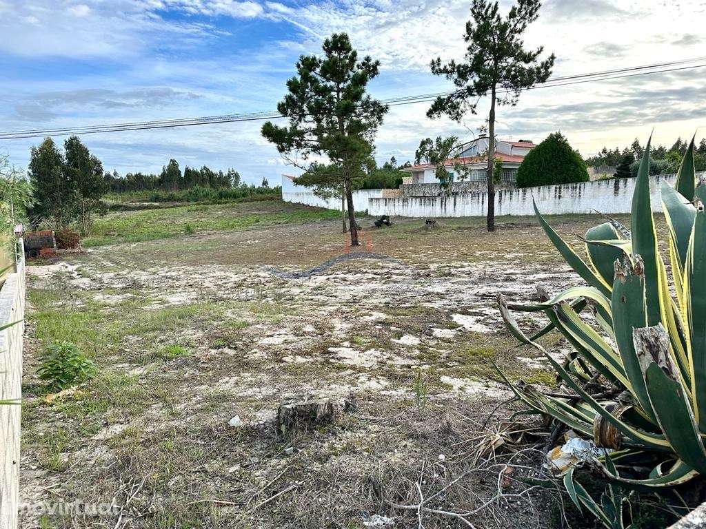 Terreno - Lameiro, Carvide - Grande imagem: 5/7