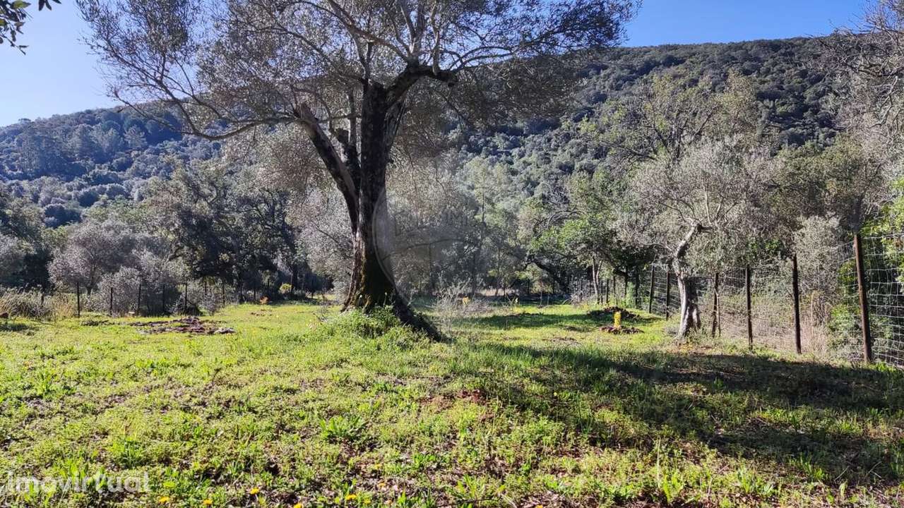 Terreno  para venda - Grande imagem: 4/7