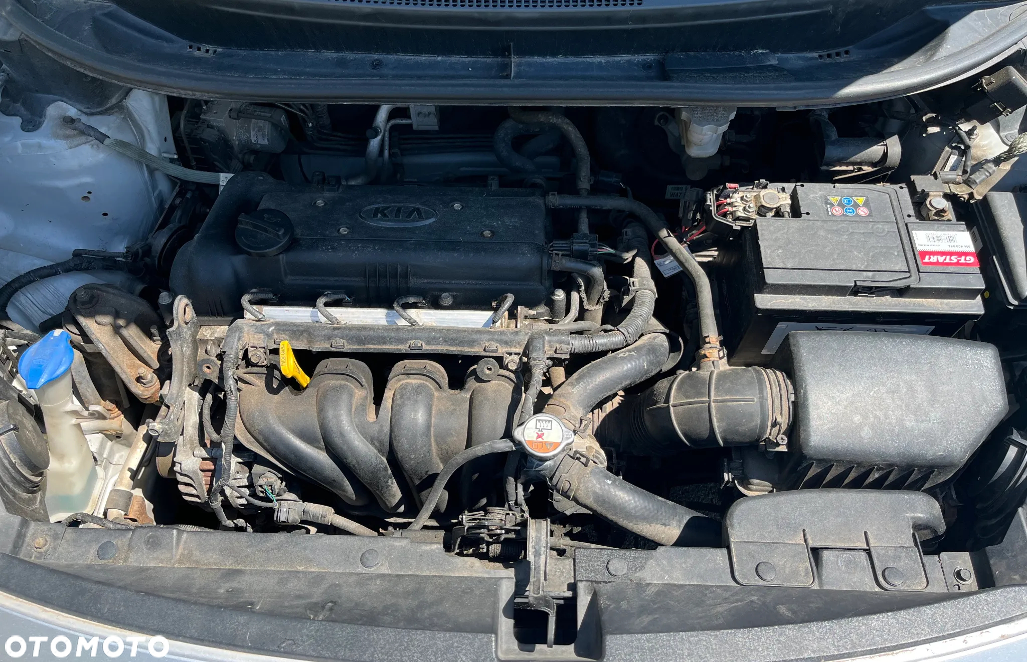 Kia Rio - 10