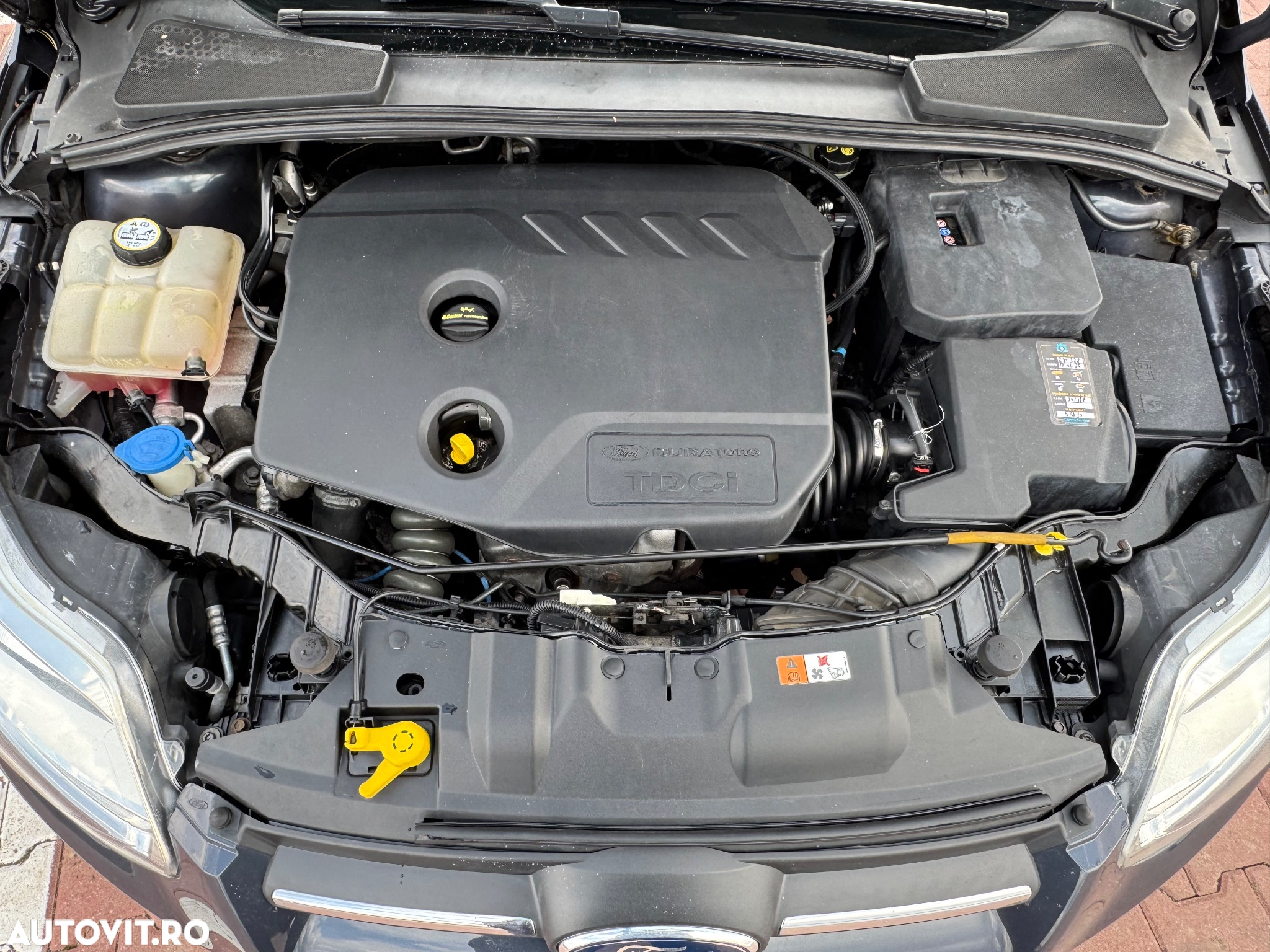 Ford Focus 1.6 TDCi DPF Start-Stopp-System Champions Edition - 10