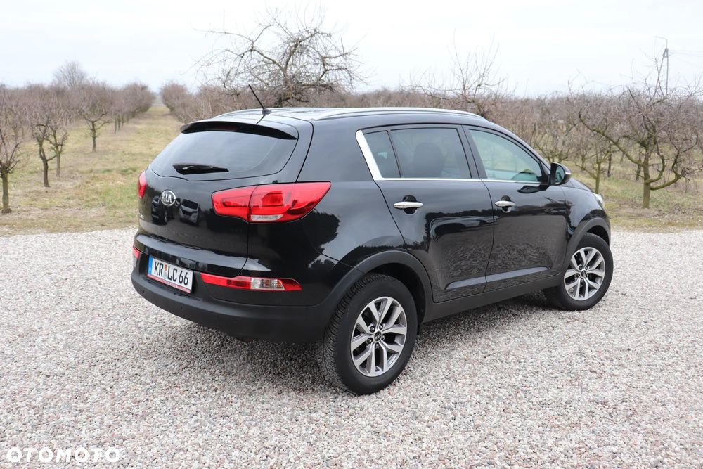 Kia Sportage 1.6 GDI Business Line L 2WD - 24