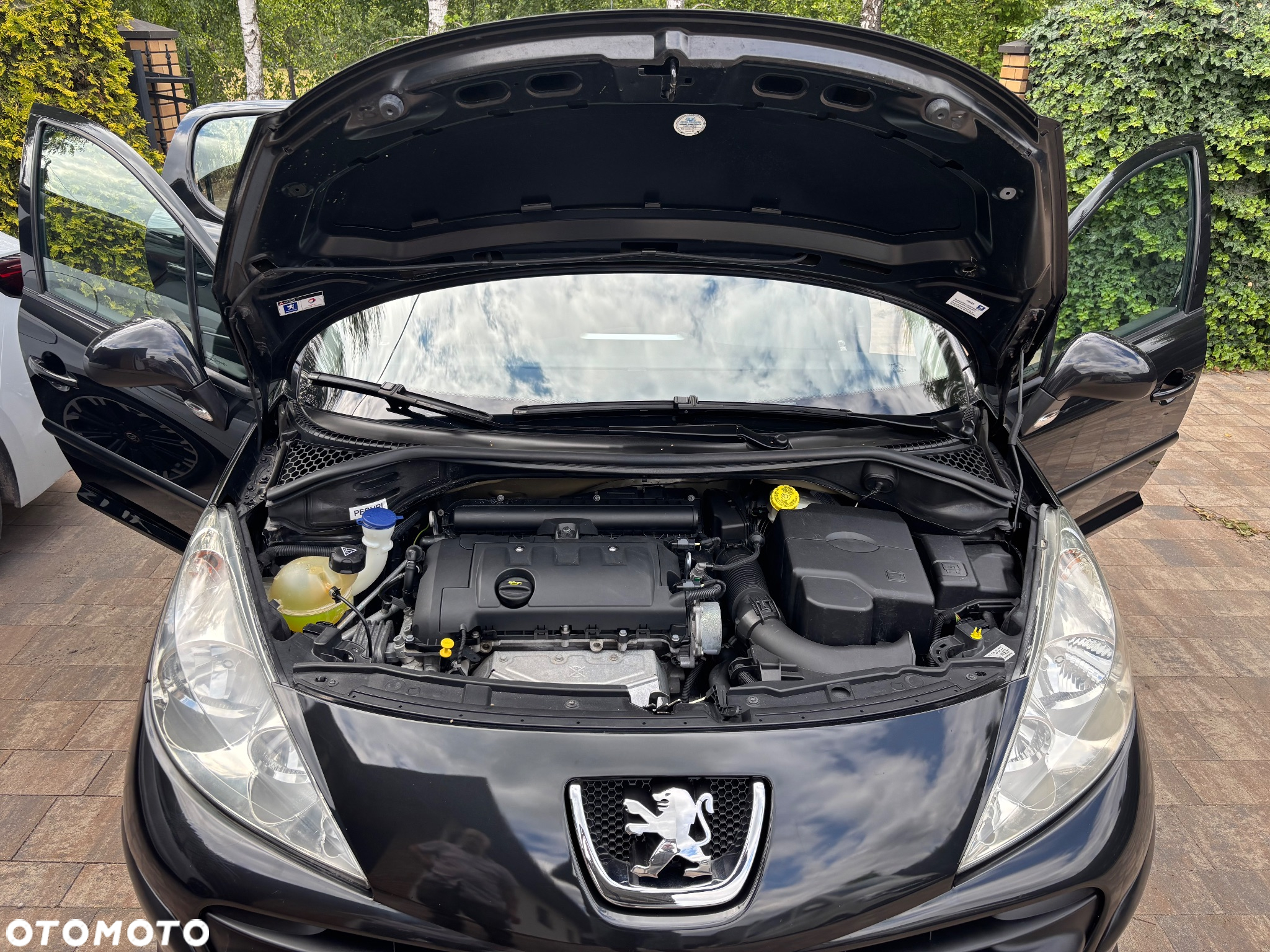 Peugeot 207 - 10