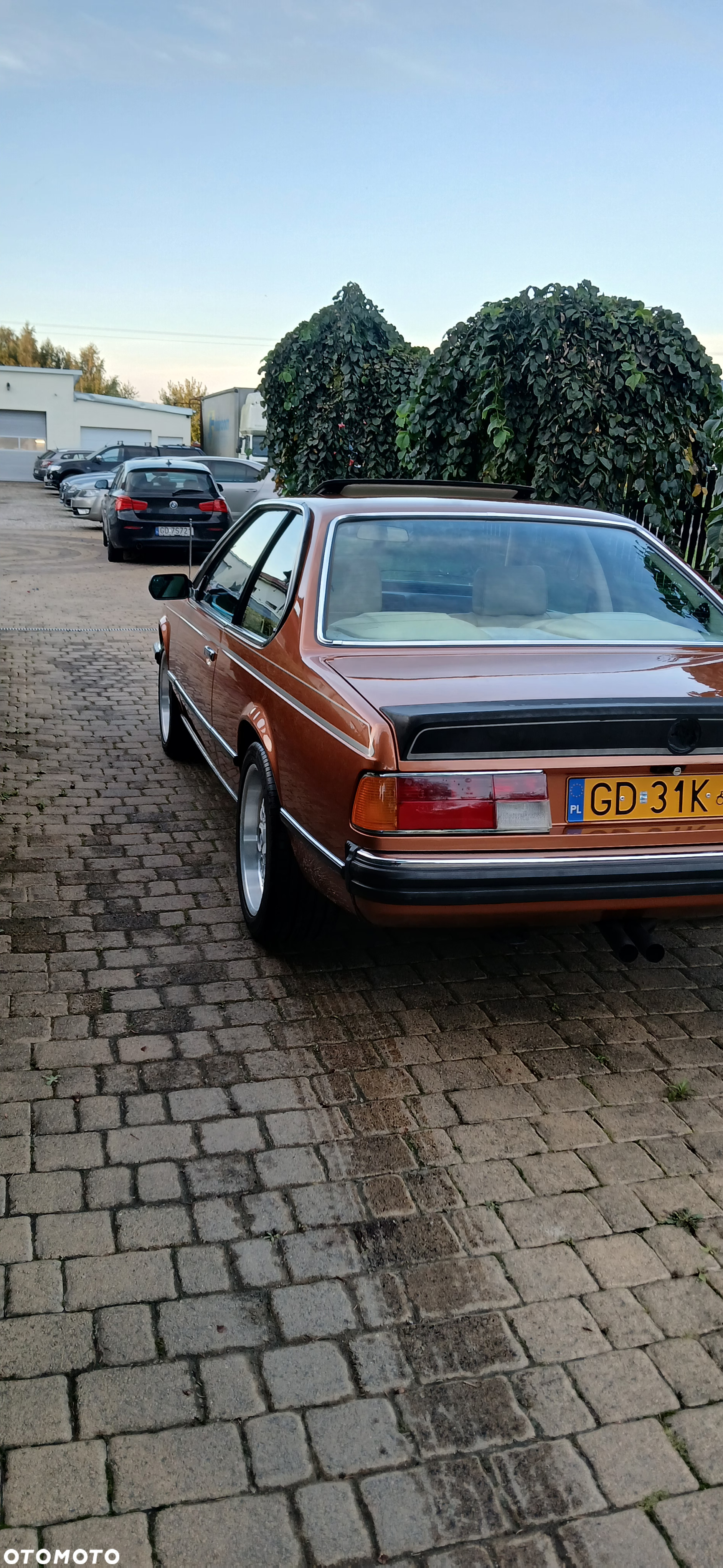 BMW Seria 6 635 CSi - 5