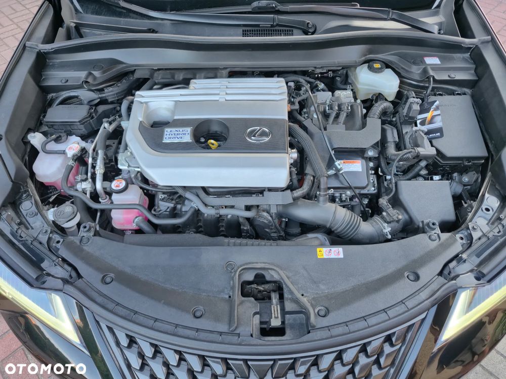 Lexus UX 250h Prestige AWD - 14