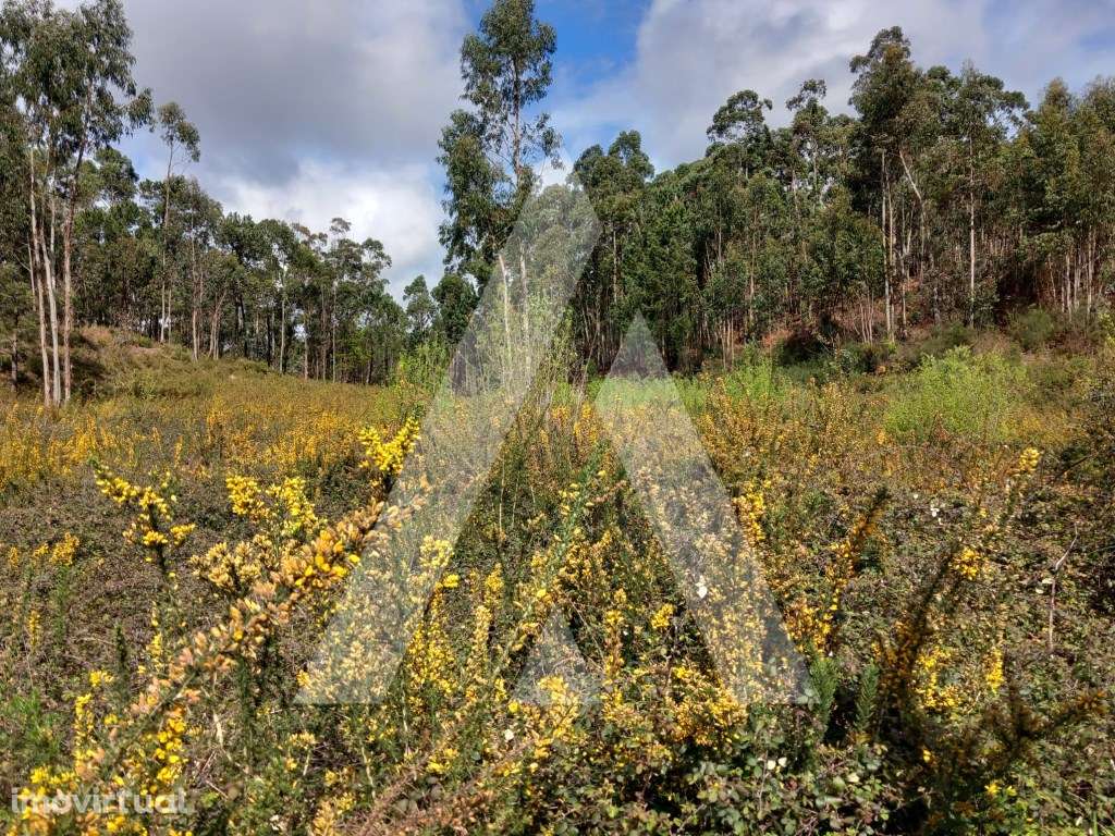 Terreno para construção em Cesar, Oliveira de Azemeis - Grande imagem: 3/13