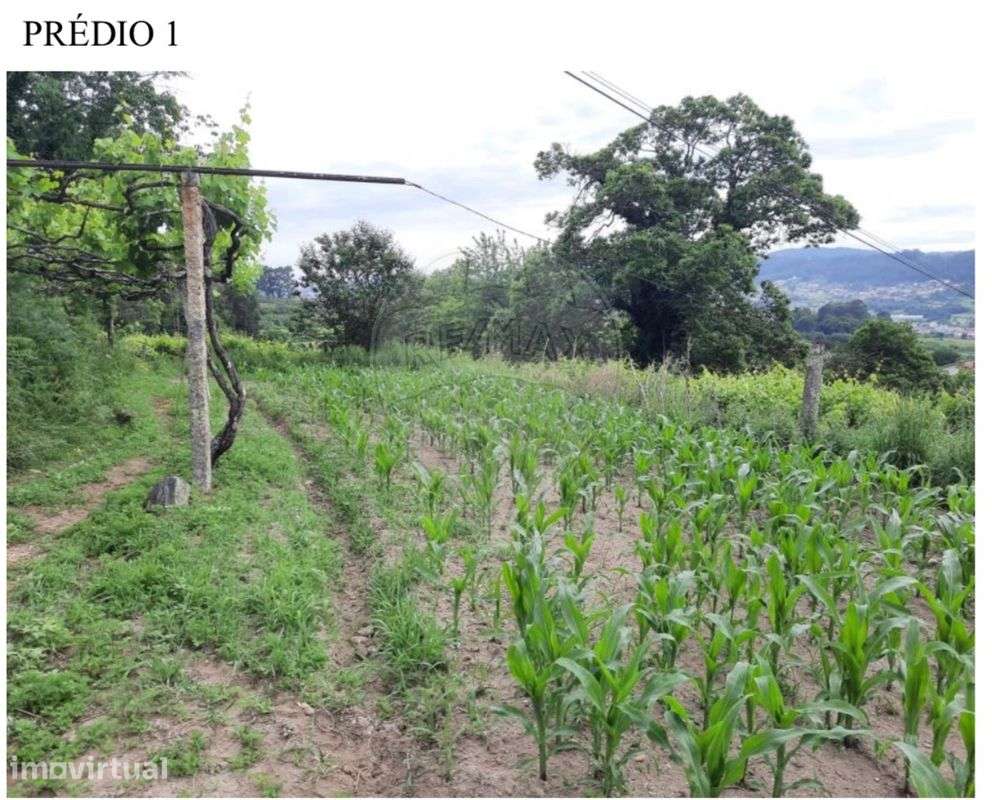 Terreno  para venda - Grande imagem: 2/5