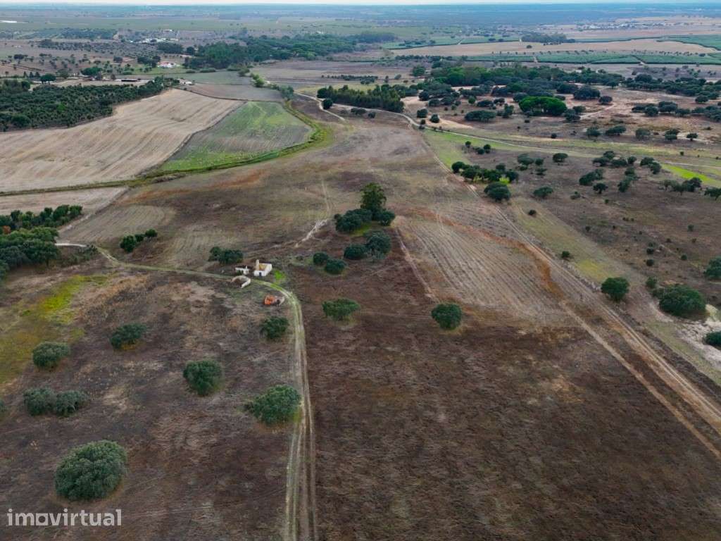 Herdade de 22,45 Hectares no Alentejo com Ruína de 240 m² e Potenci... - Grande imagem: 3/28