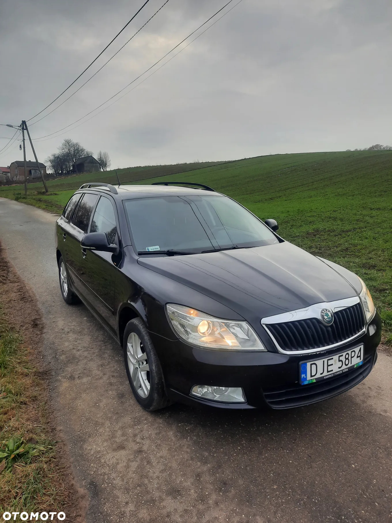 Skoda Octavia 1.6 TDI 4x4 Elegance - 2