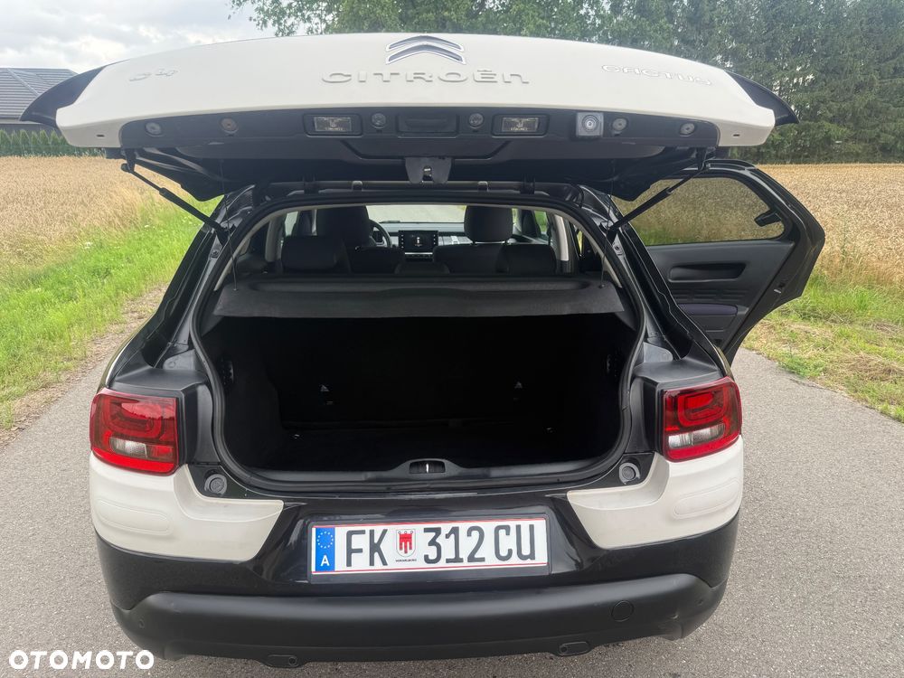 Citroën C4 Cactus 1.6 Blue HDi Live - 23