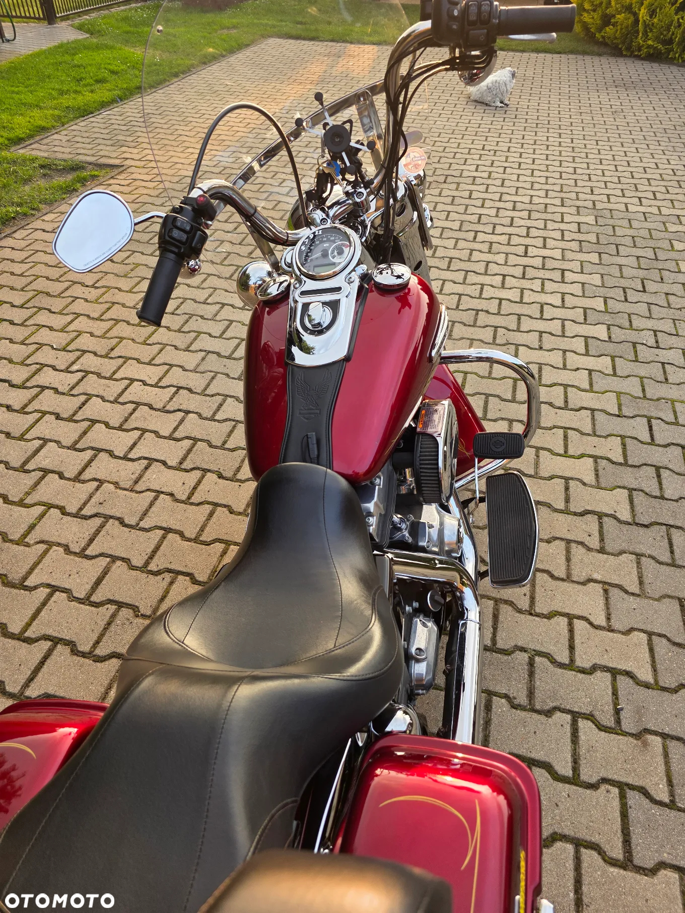 Harley-Davidson Dyna Switchback - 20