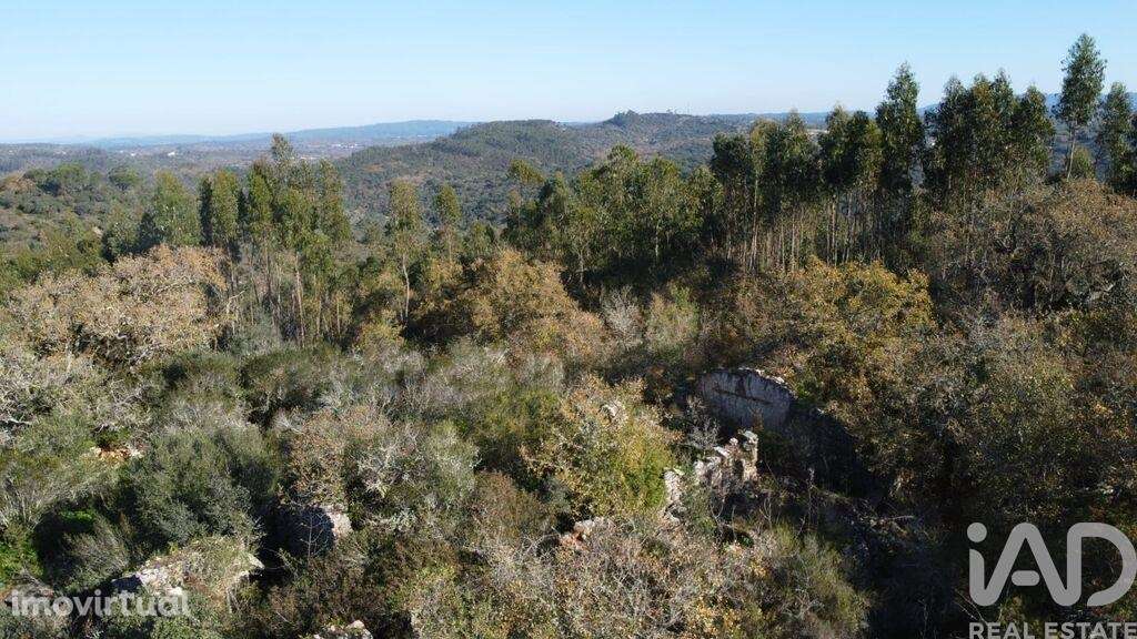 Casa / Villa em Freixianda, Ribeira do Fárrio e Formigais de 86,00 m2 - Grande imagem: 3/27