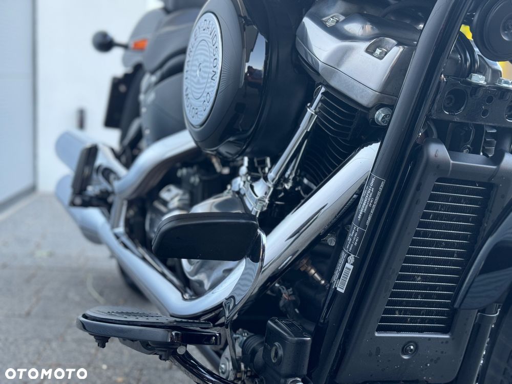Harley-Davidson Softail Slim - 10