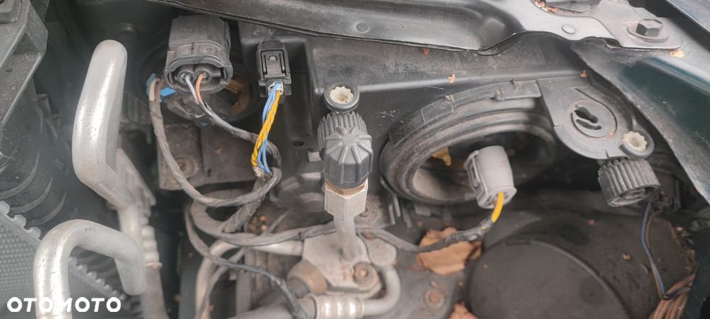 BMW E39 KOMPLETNY PRZÓD maska zderzak lampy błotniki pas 2.5 B OXFORDGRUEN - 7