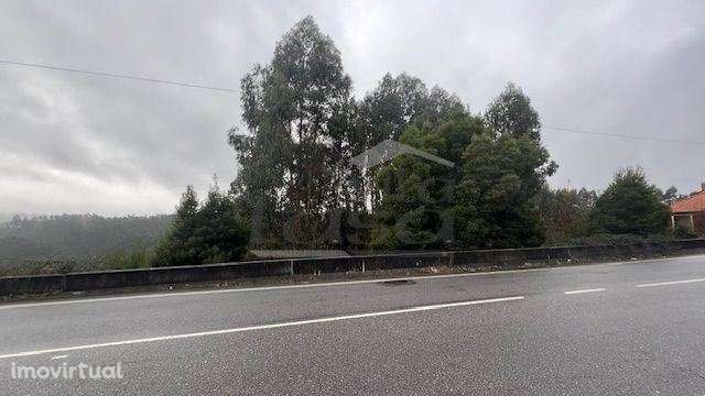Terreno Rústico em Canedo com 1300m2. - Grande imagem: 2/10