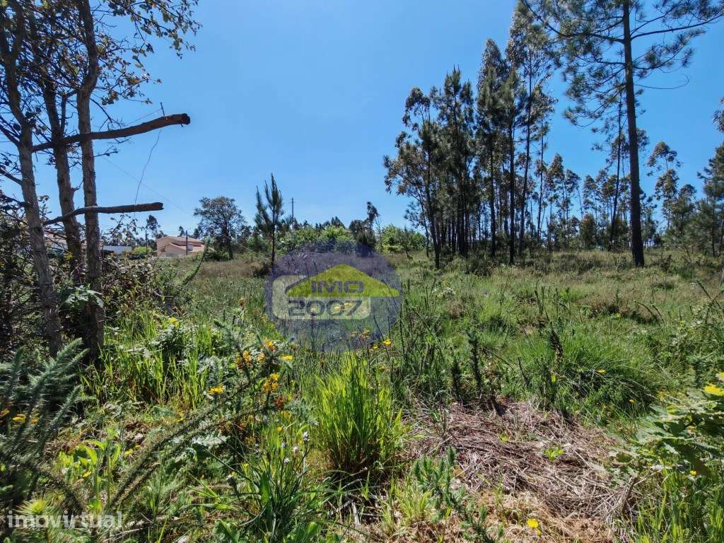 Terreno para construção em Arada - Grande imagem: 3/16