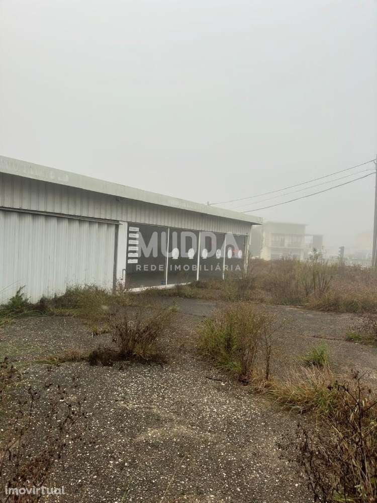 Arrendamento Quinta/Herdade - Grande imagem: 2/4