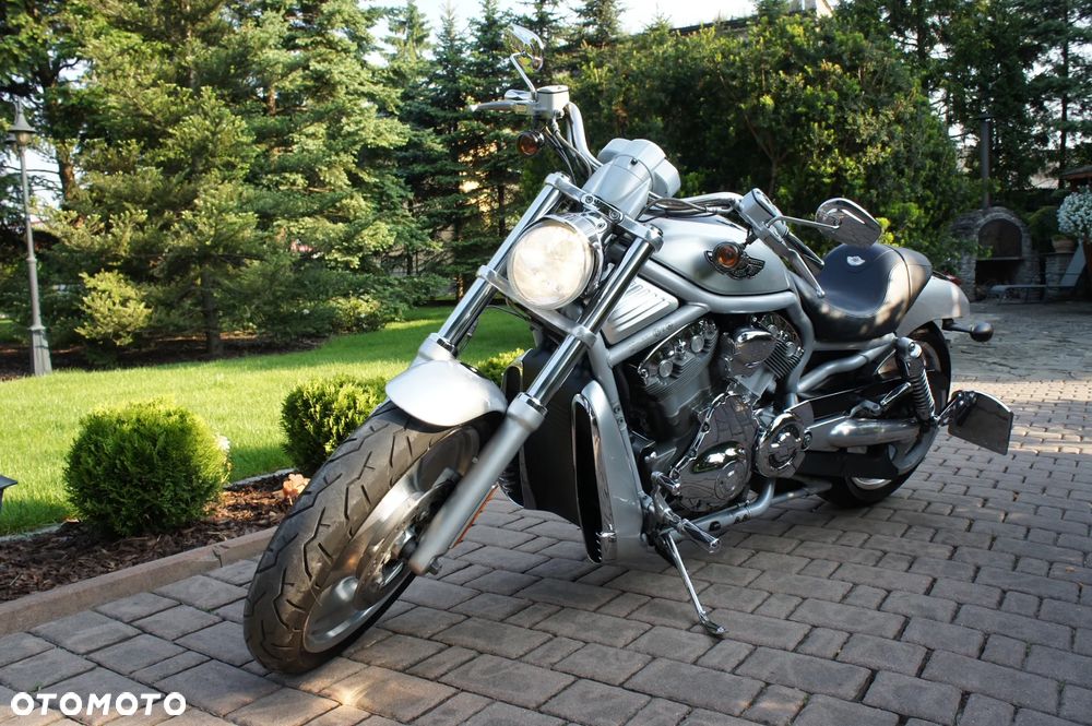 Harley-Davidson V-Rod Street Rod - 3