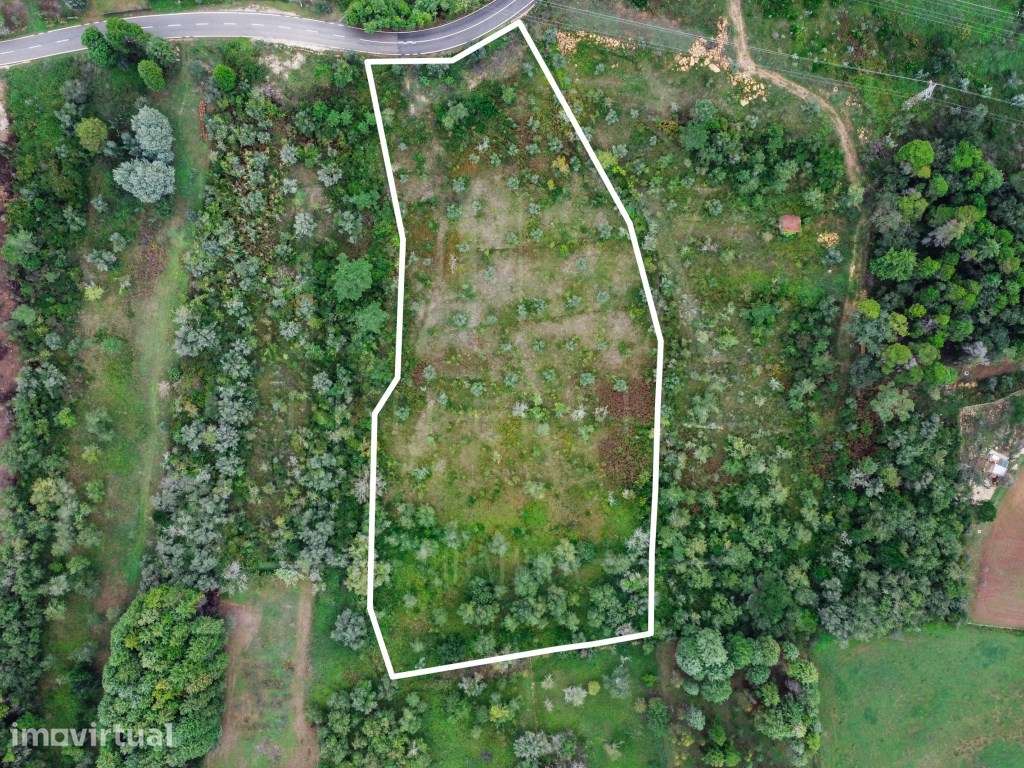 Terreno Urbanizável | Carvalhais, Assafarge - Grande imagem: 3/13