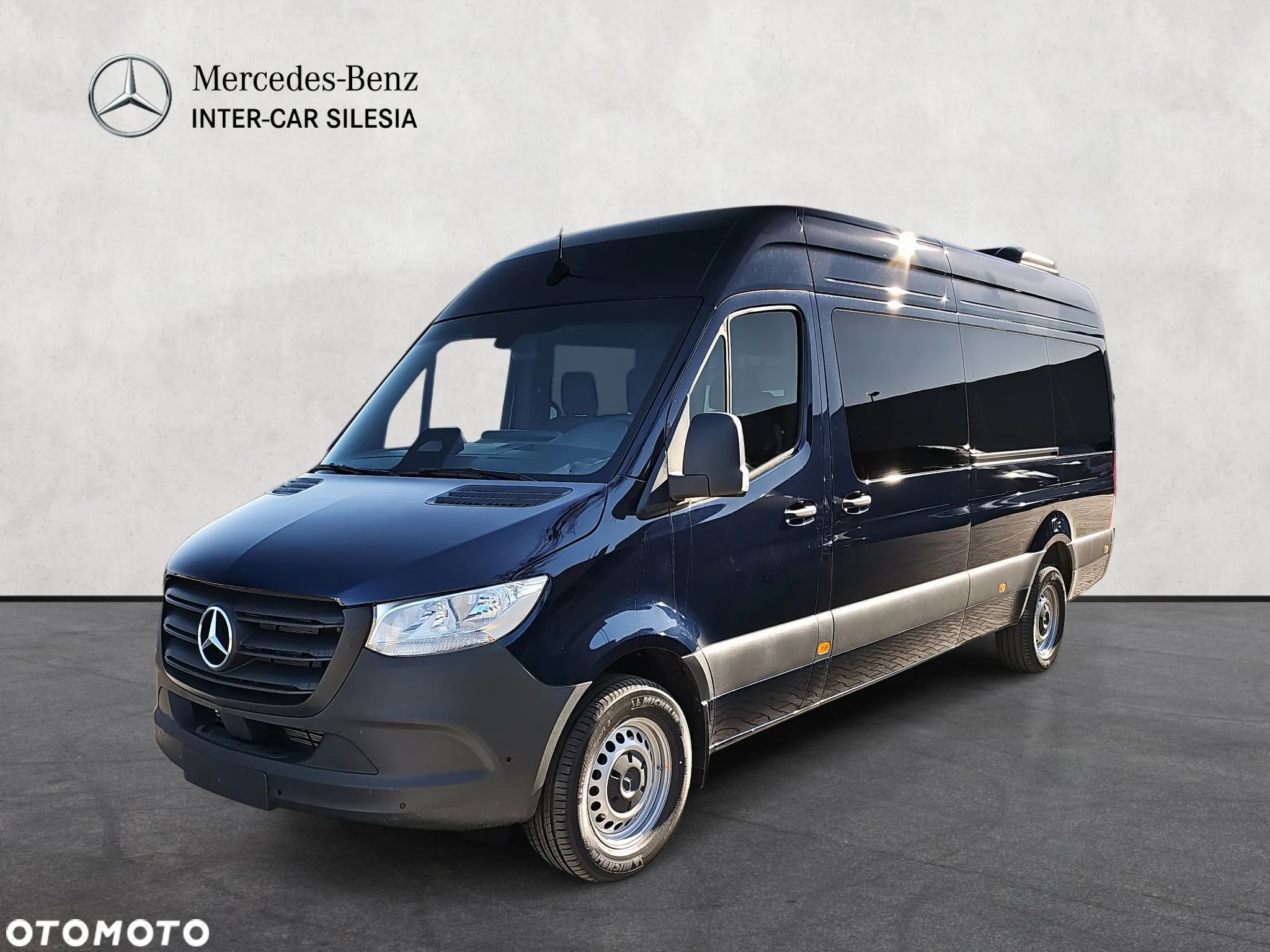Mercedes-Benz Sprinter Tourer 317 CDI - 1