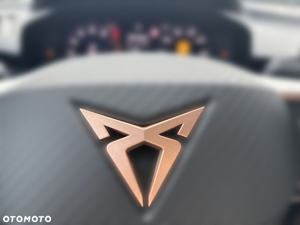 Cupra Terramar 2.0 TSI 4Drive VZ DSG - 21
