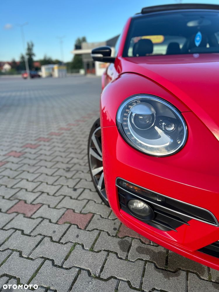 Volkswagen Beetle - 26