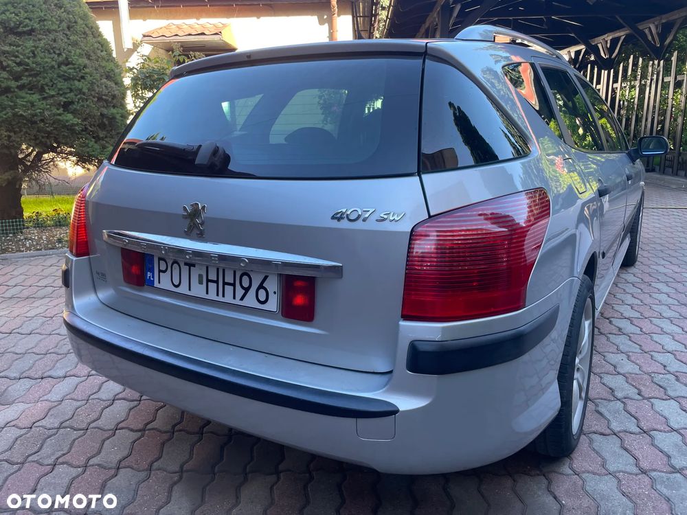 Peugeot 407 - 5