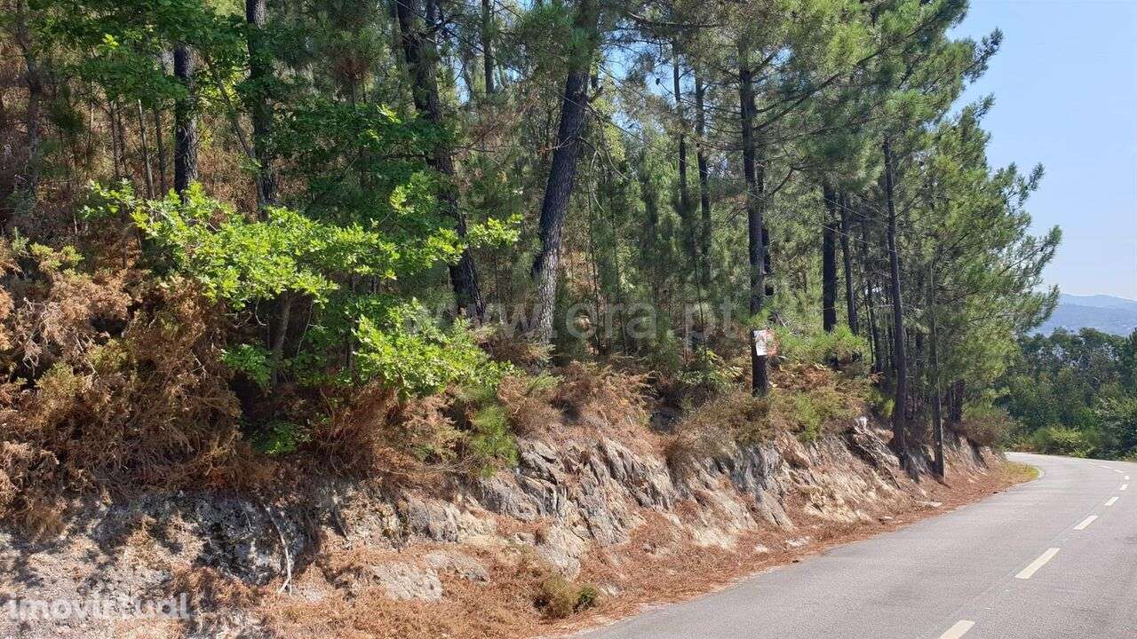 Terreno / Marco de Canaveses, Penhalonga e Paços de Gaiolo - Grande imagem: 3/4