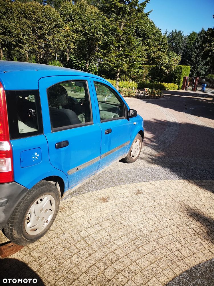 Fiat Panda - 2