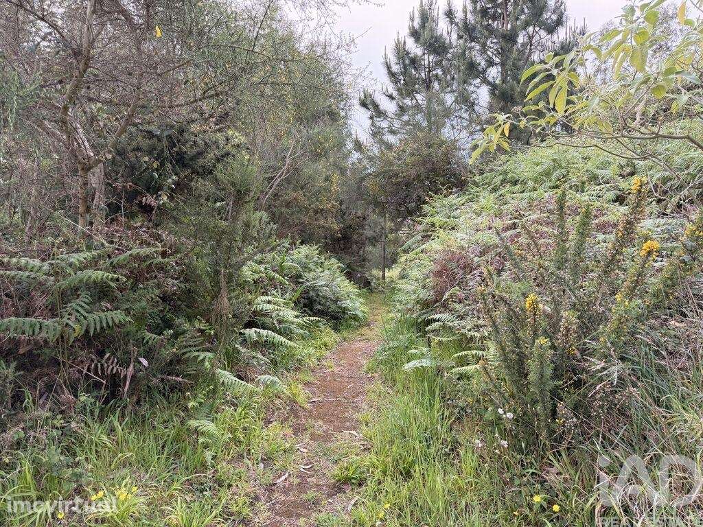 Terreno para construção em Santa Cruz - Grande imagem: 5/16