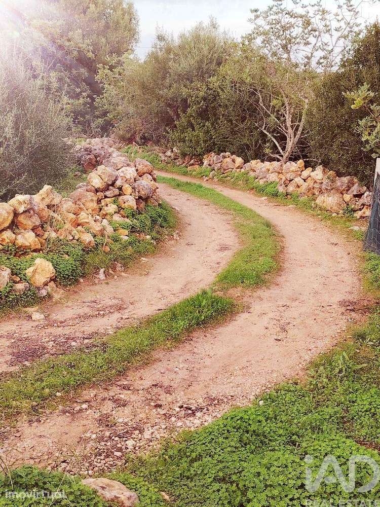 Terreno em Moncarapacho e Fuseta de 3080,00 m2 - Grande imagem: 2/8