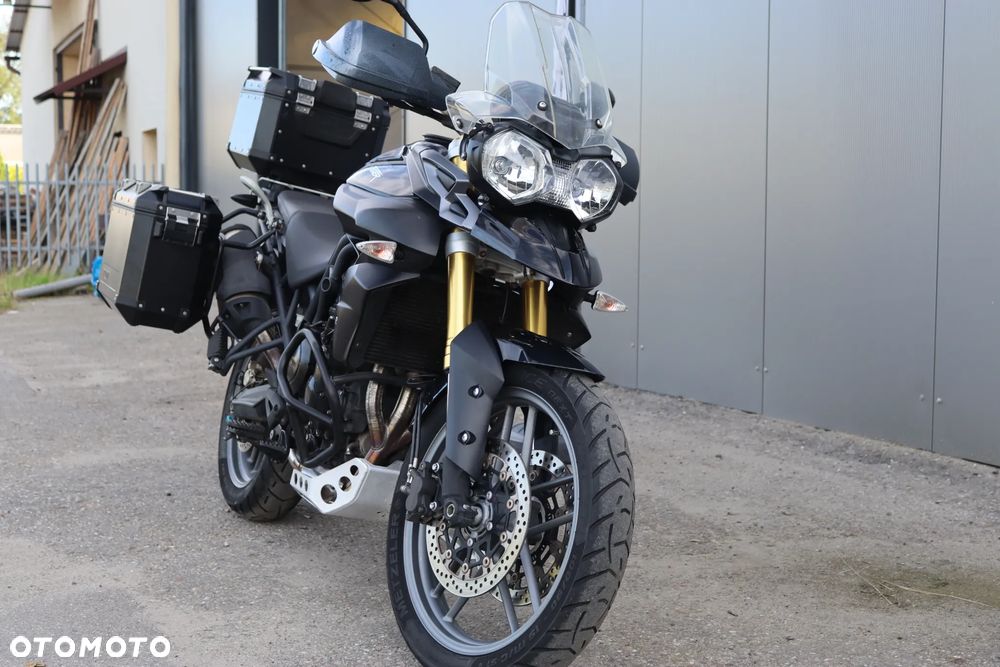 Triumph Tiger - 4