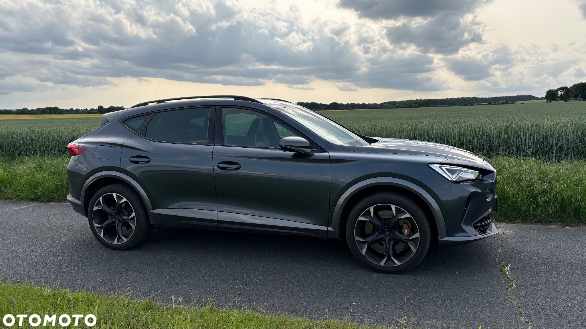 Cupra Formentor VZ 2.0 TSI 4Drive DSG - 2