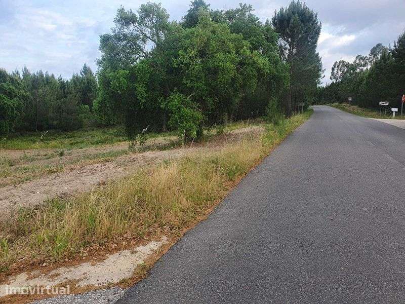 Terreno Rustico com viabilidade de construção - Grande imagem: 2/12