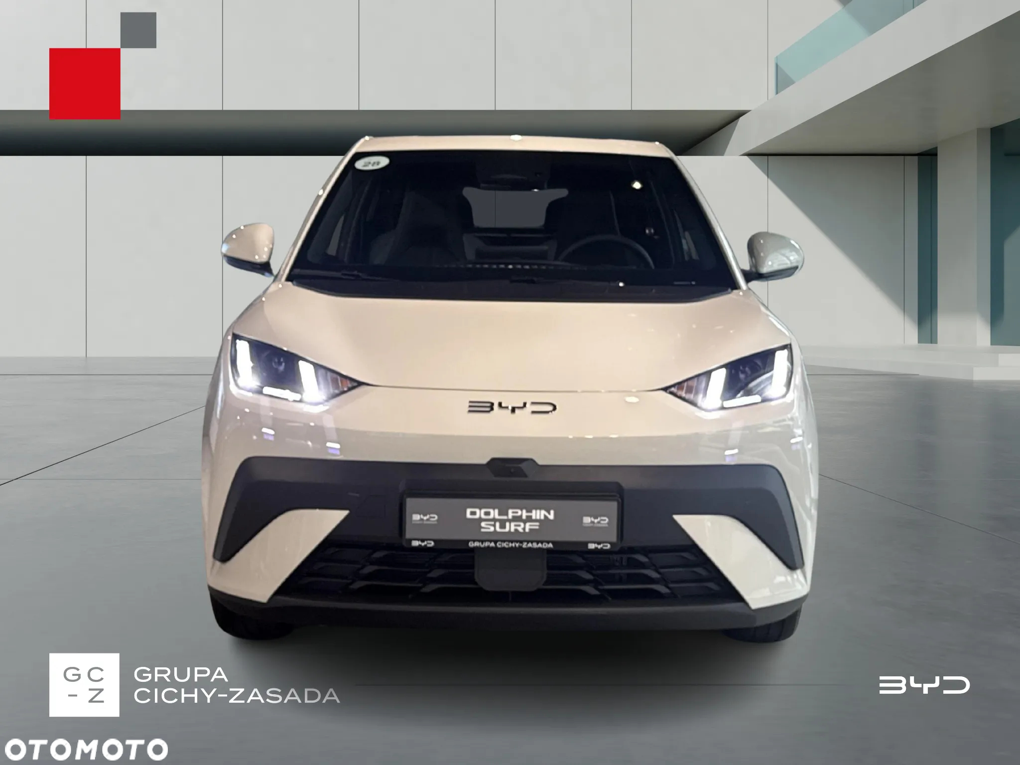 BYD Dolphin Mini - 8