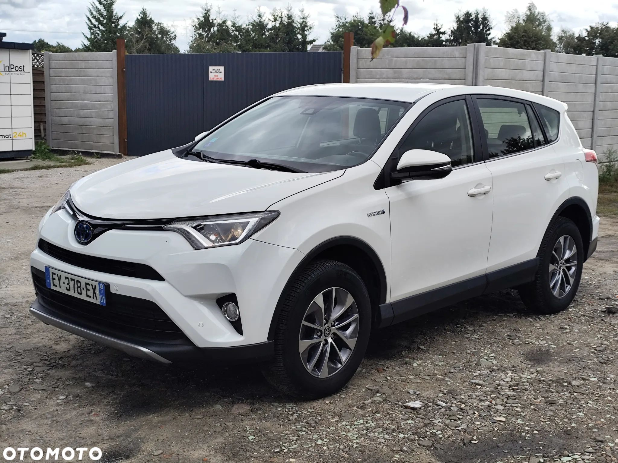 Toyota RAV4 2.5 4x2 Hybrid Edition S+ - 1