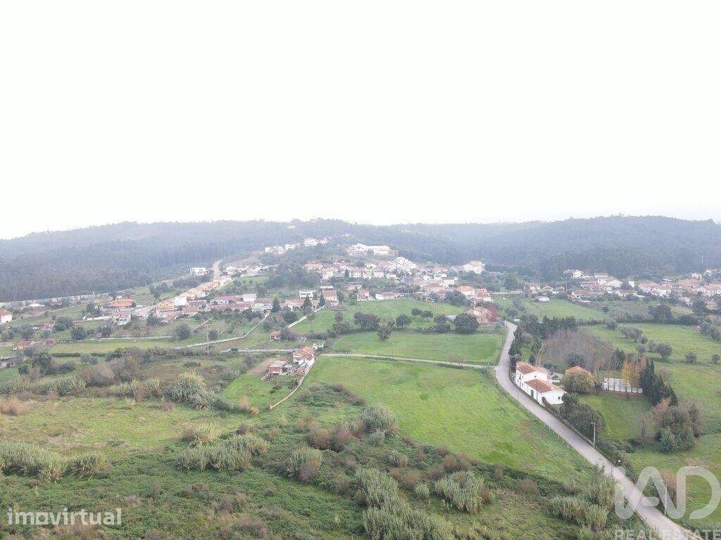 Terreno Agrícola em Eiras e São Paulo de Frades - Grande imagem: 5/10
