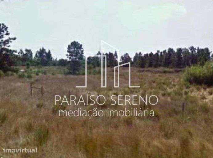 Terreno - Grande imagem: 5/8