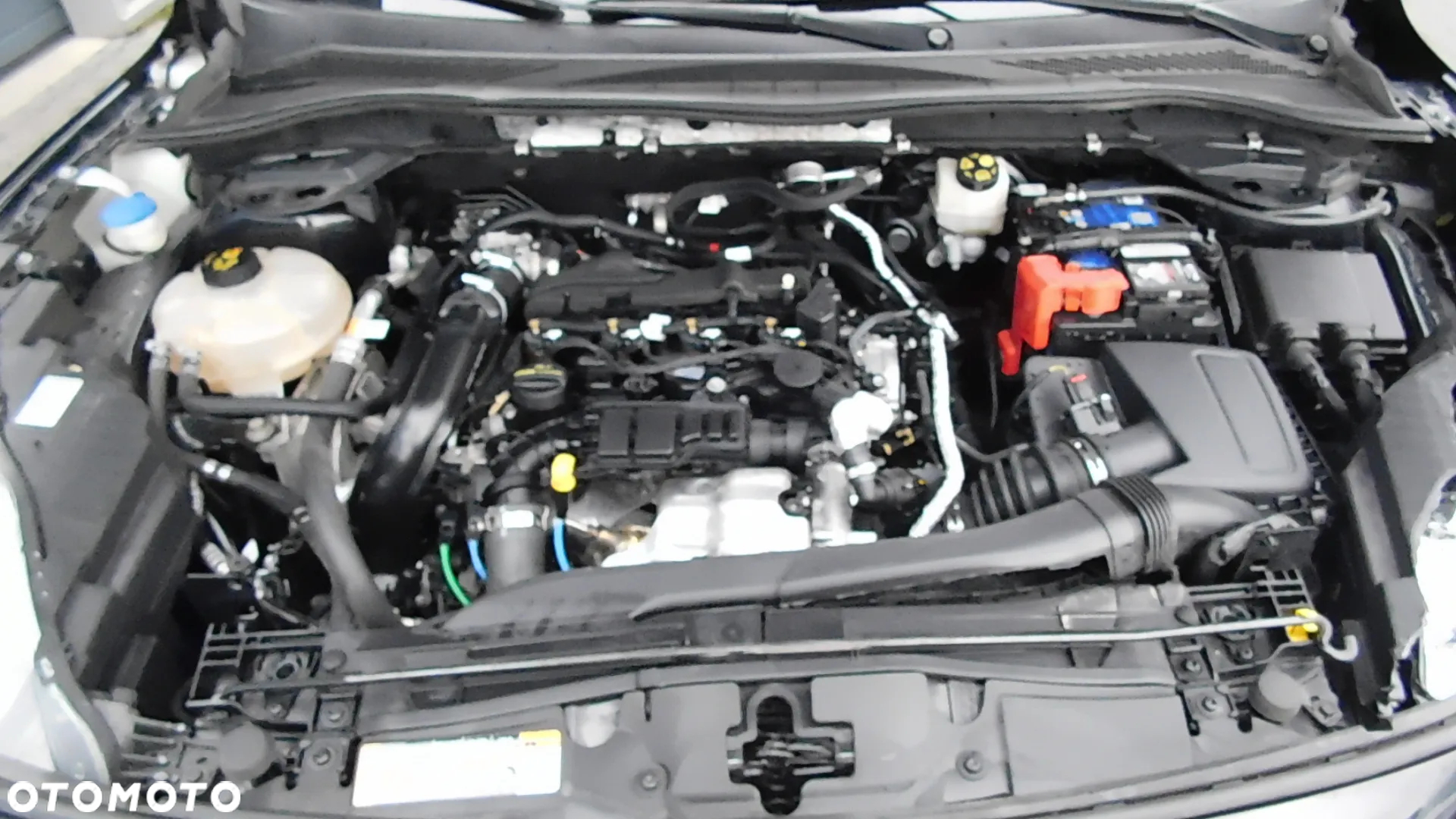 Ford Kuga 1.5 EcoBlue FWD ST-Line - 9