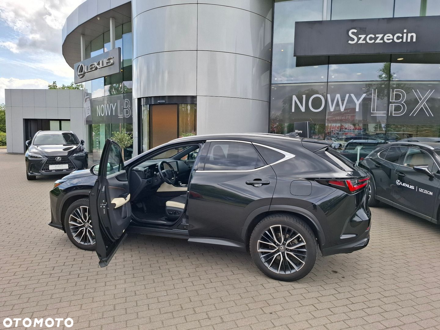 Lexus NX - 10