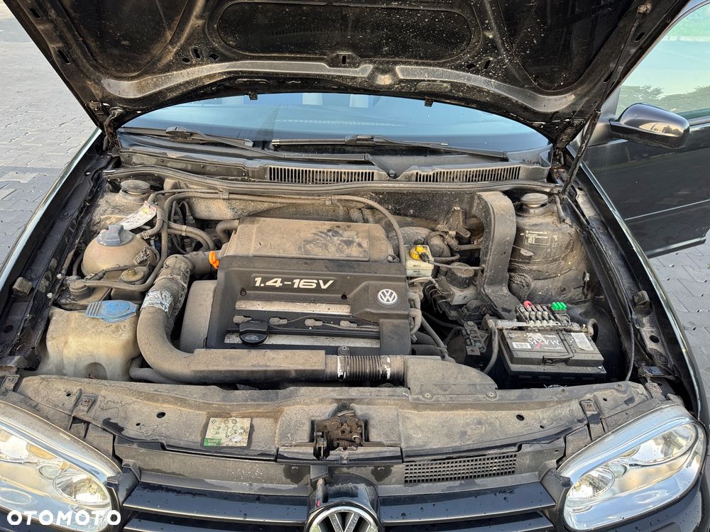 Volkswagen Golf - 10