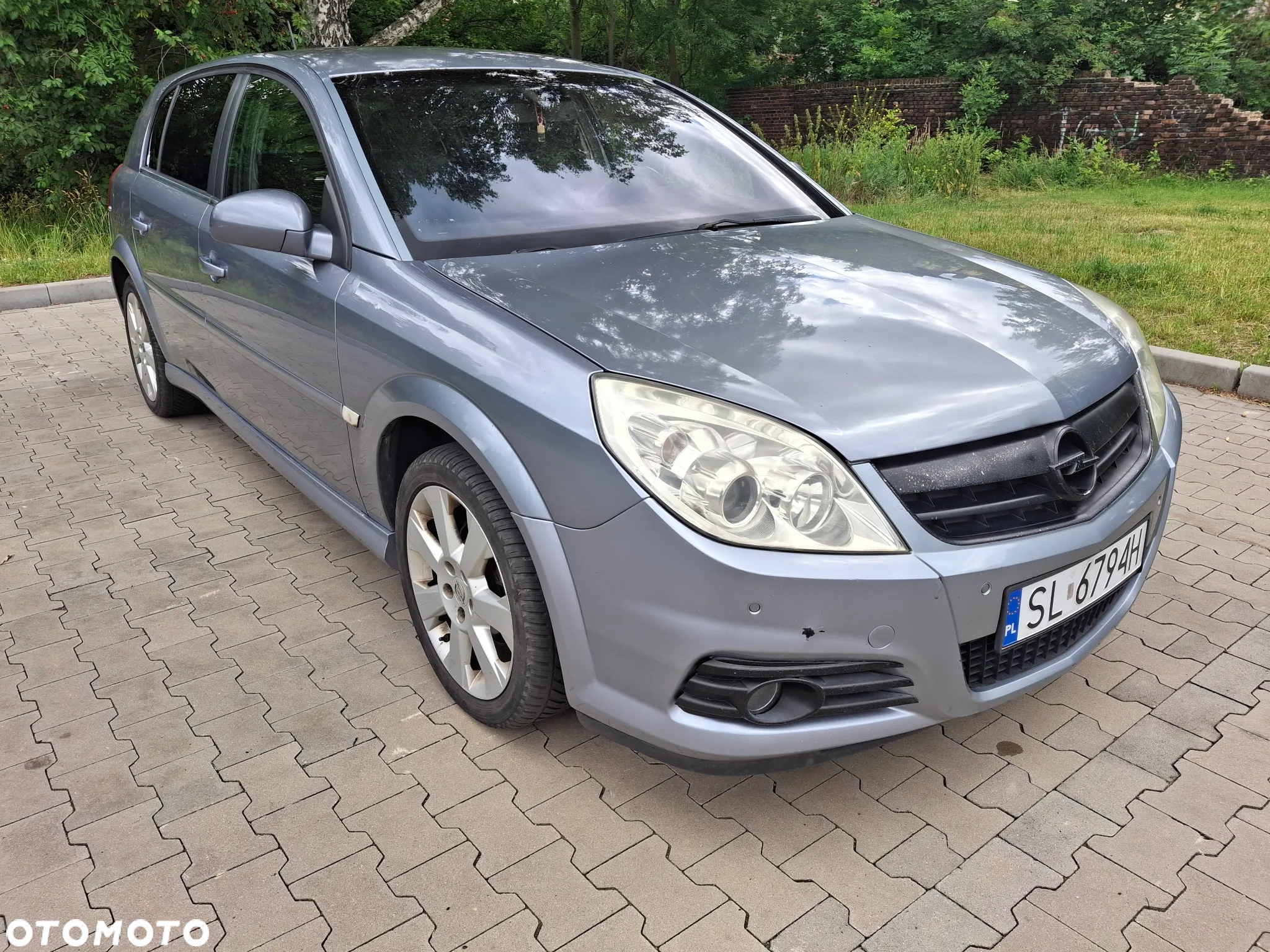 Opel Signum - 4