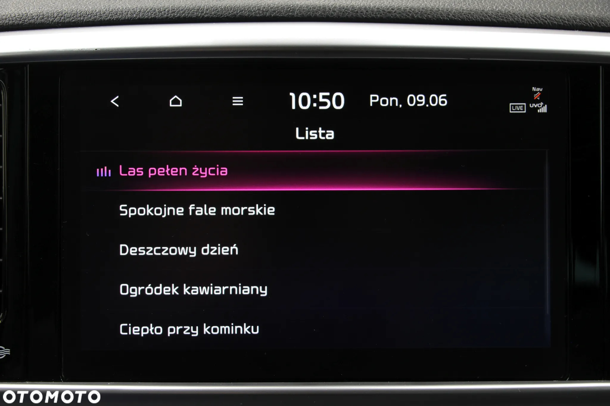 Kia Sportage 1.6 T-GDI Black Edition 4WD DCT - 40