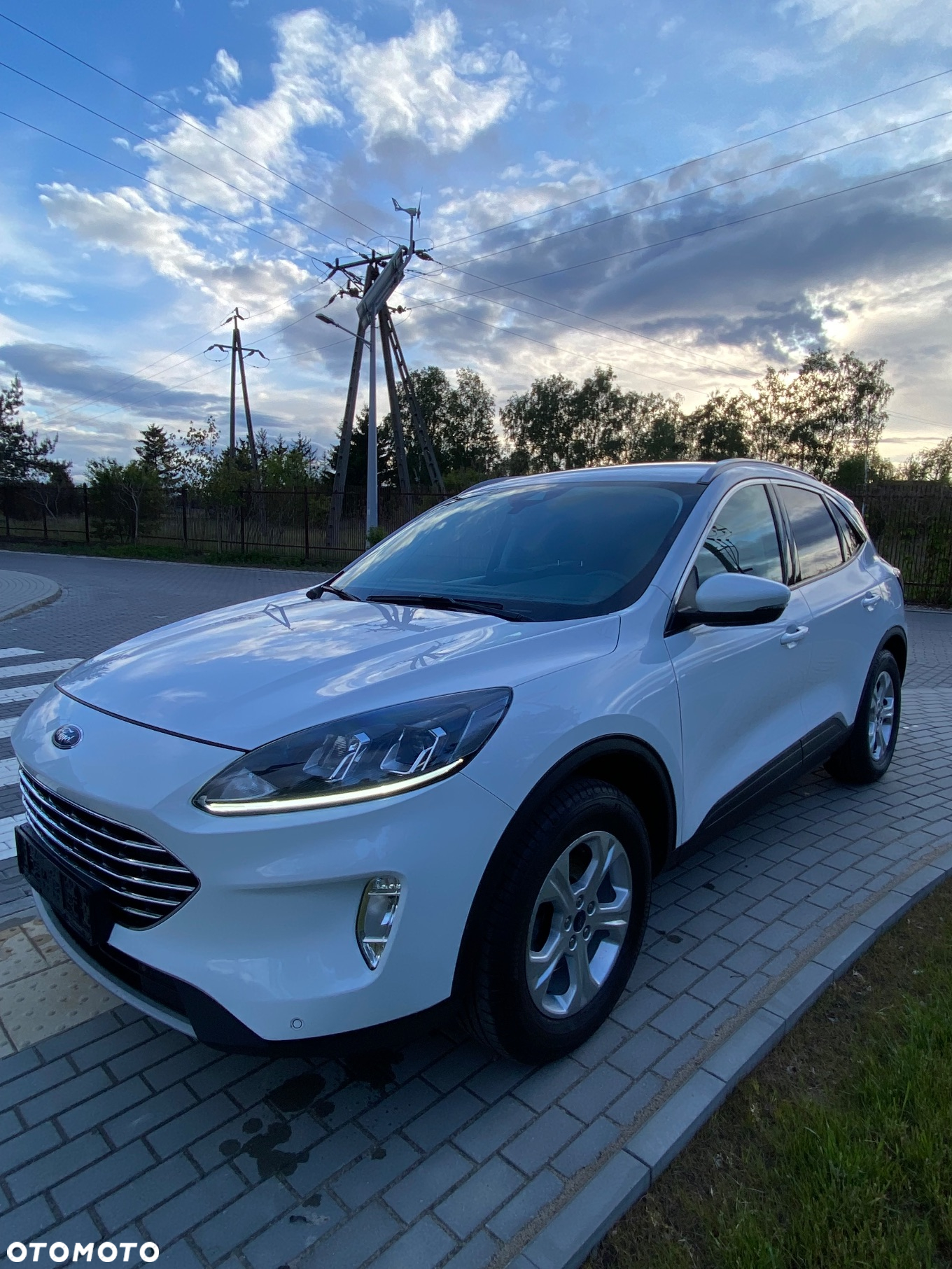 Ford Kuga 1.5 EcoBlue FWD Titanium - 2