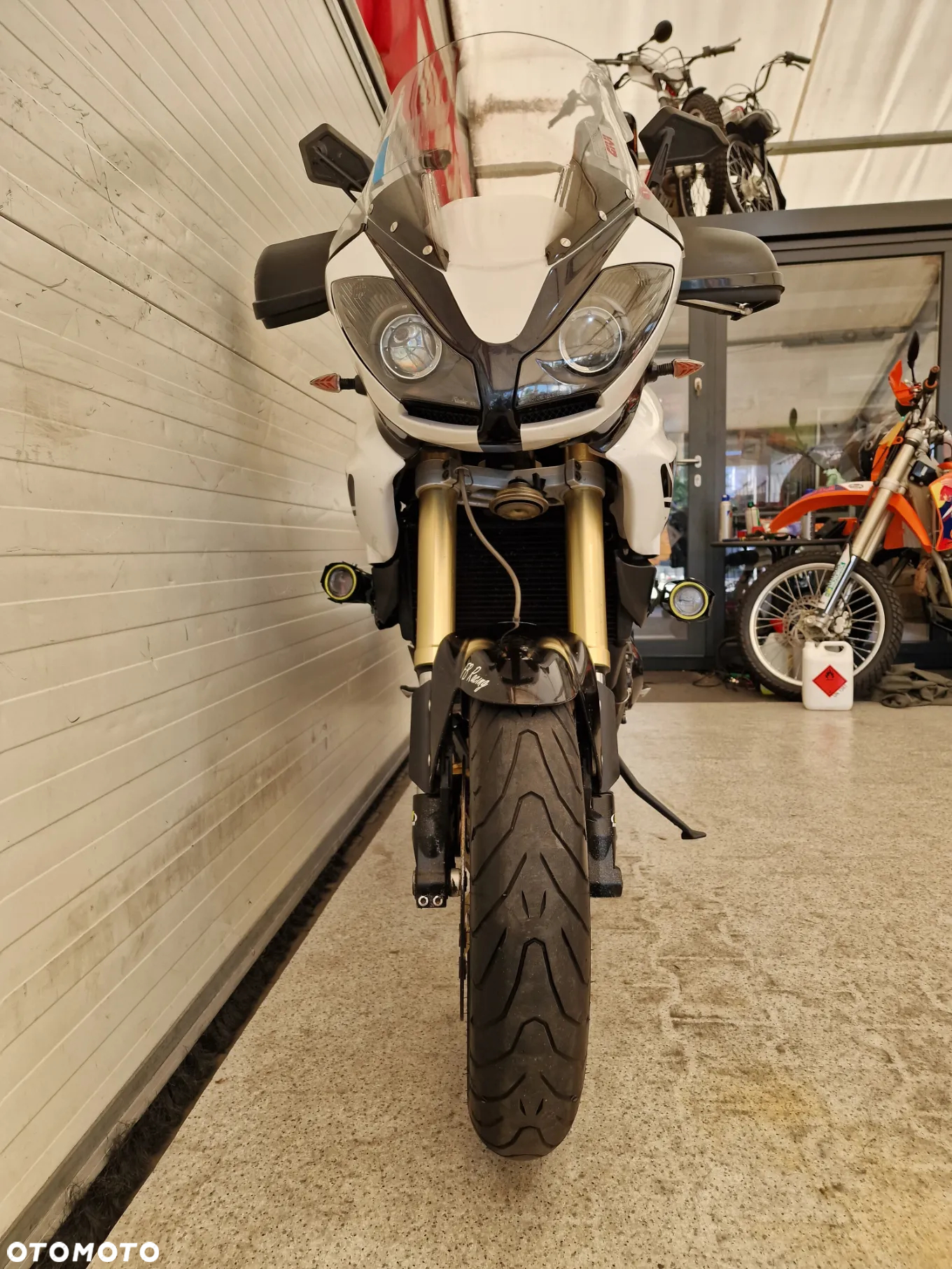 Triumph Tiger - 16